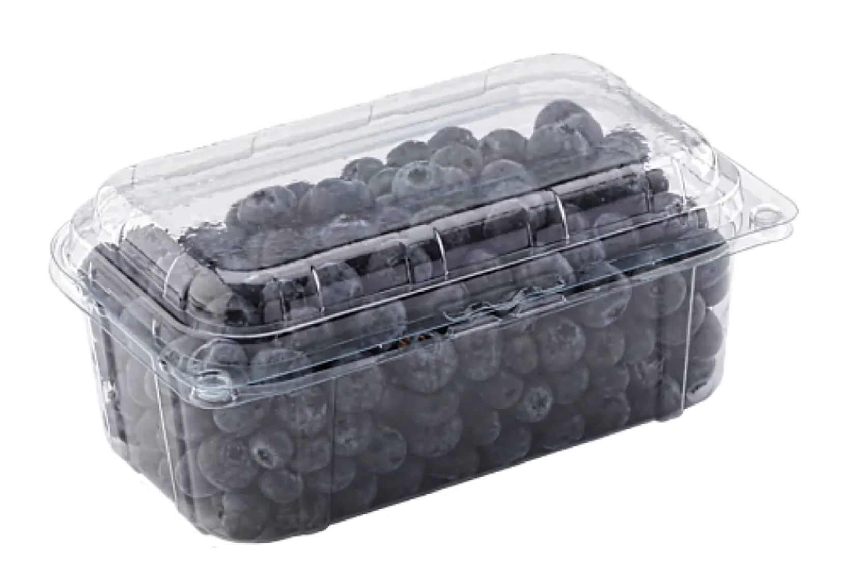 CASEROLE FRUCTE 500 GR CAPAC ATASAT - 190lx117Lx96h mm - 600 buc.